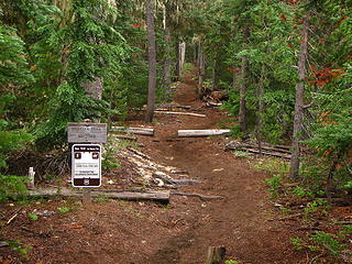 The Obsidian Trail