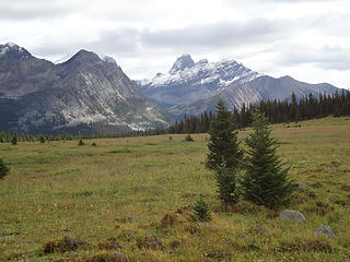 To the north of Salient Mt. from Miette/Center Pass