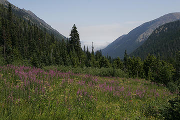 Cameron Basin, Olympic National Park, Washington.