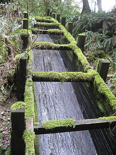 Log chute asstarting down a steeper section