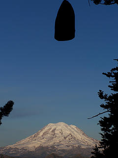 bearbag over Mt Rainier.