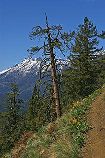 Driveway Butte trail2