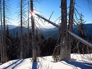 Silver Forest on Nason Ridge