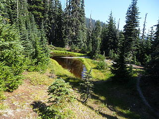 The tannic tarn, make a left and pass by this on your way down to the Elwha