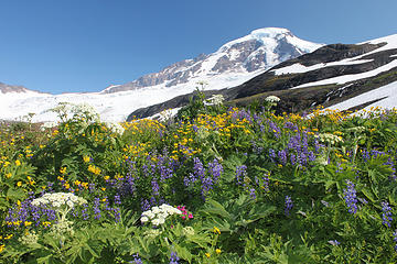 Flower Garden at Baker