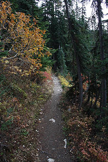 PCT with fall color