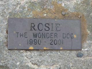 Rest in peace, Rosie!