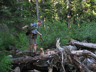 Scott guides Zeus & Athena through second stream crossing.