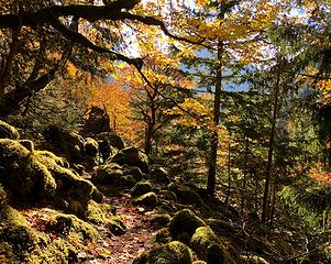 Perry Creek Falls Trail 10/10/19