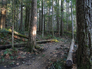 Mt Si talus junction but the sign is gone.