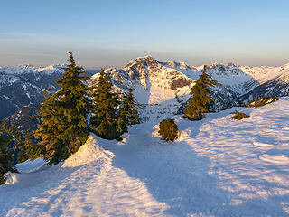 golden light on Davis