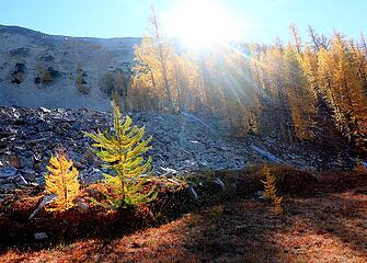 Morning sun coming over the ridge