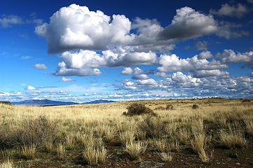 Clouds scudding across Steamboat rock