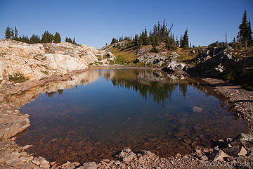 Sourdough tarns