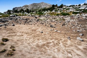 dry pond-bed