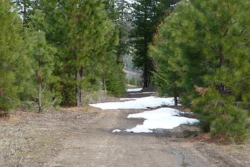 Trail follows decommissioned FS road