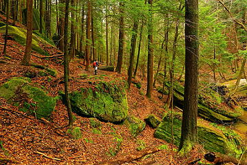 16- Hiking through a hemlock forest (selfie)