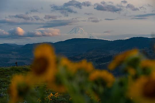 Mount Hood from the Gorge