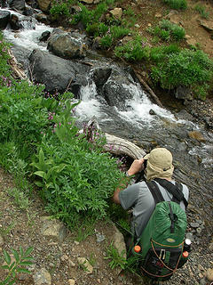 A hiker photographing a scene on Bean Creek trail