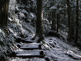 Mt Si trail 1.5 mile marker as the snow gets a little more persistent.