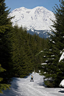 Follow the snow cone