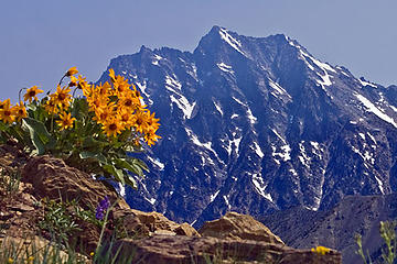 Mt Stuart  from Koppen Mountain summit