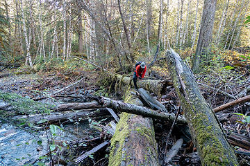 alternate crossing downstream