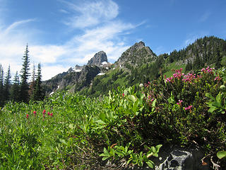 Heather, Paintbrush, Cowlitz Chimneys