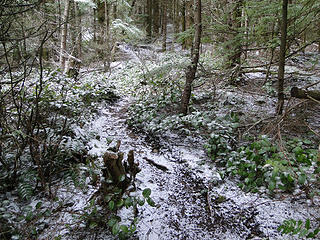 Snow/ice dusting on upper trail to West Tiger 2.
