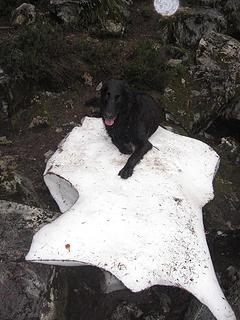 "My snow. I love snow!"