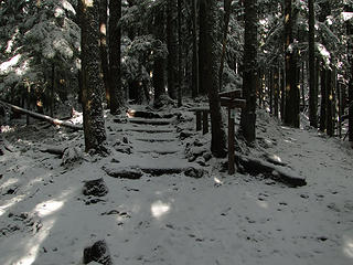 Mt Si trail at upper Talus junction. Now light snow covers the trail.