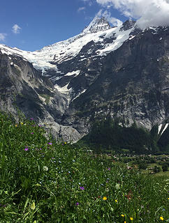 Grindelwald 6/2/18