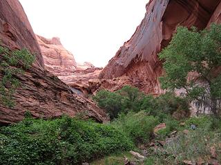 The "poison ivy slope"