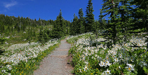 51. Spray Park path