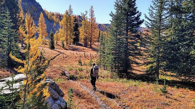 dropping into the basin