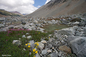 Flower lined tarn