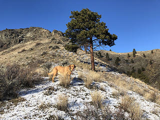 Mr. C on the ridge