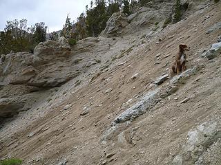 washout just below Johnstone Pass in Pioneer Mtns Idaho