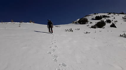 Neil breaking trail