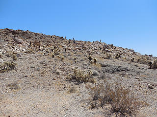 Peeps coming down to the saddle