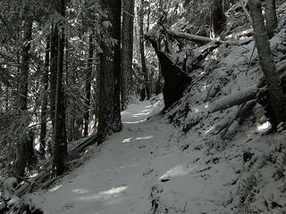 Mt Si trail at 2 mile marker. I had just put on microspikes just for added traction.