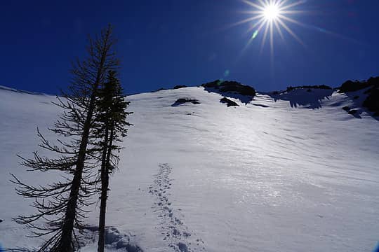 At the last larch trees below Earl Peak (at about 6700ft). I didn't have good visibility of where the remaining cornices were so I turned back here.