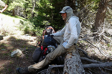 The forest canopy on the ridge was nice. Hit the Trail on break.