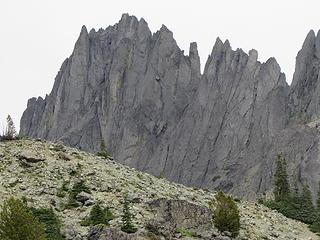 Glimpse of the needles