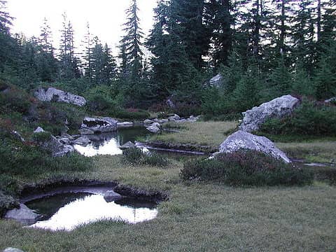 Japanese garden at DM Gap