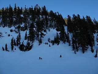 In shadows at Torrent Pass, but still sunlight on the trees above