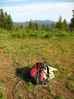 Summit shot atop Mineral Mountain in Northern Idaho.