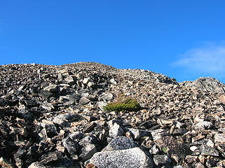 Pile of rubble