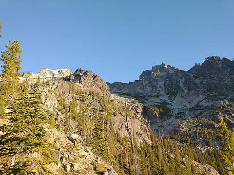 View from treeline