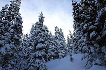 Off to Reflection Lakes!